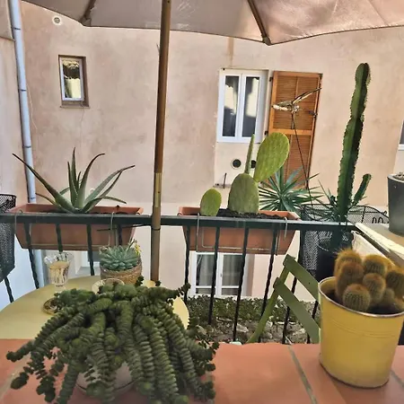 Lägenhet Le Cosy Antibois - Proche Marche Provencal